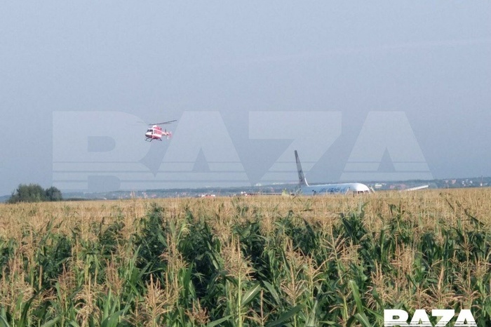 Минздрав России сообщил о 23 пострадавших при посадке самолета в Подмосковье