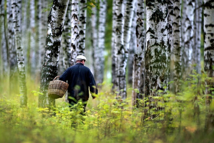 Инструктор «ЛизаАлерт»: «Ощущение, что люди уходят, чтобы собрать грибы и остаться в этом лесу»