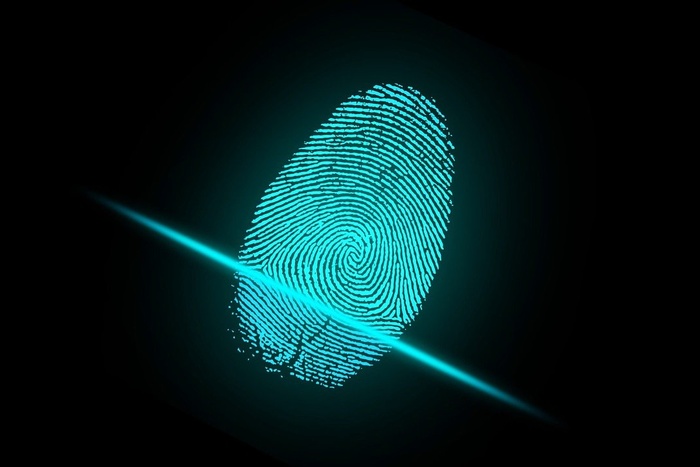 МВД создаст банк биометрических данных россиян и иностранцев