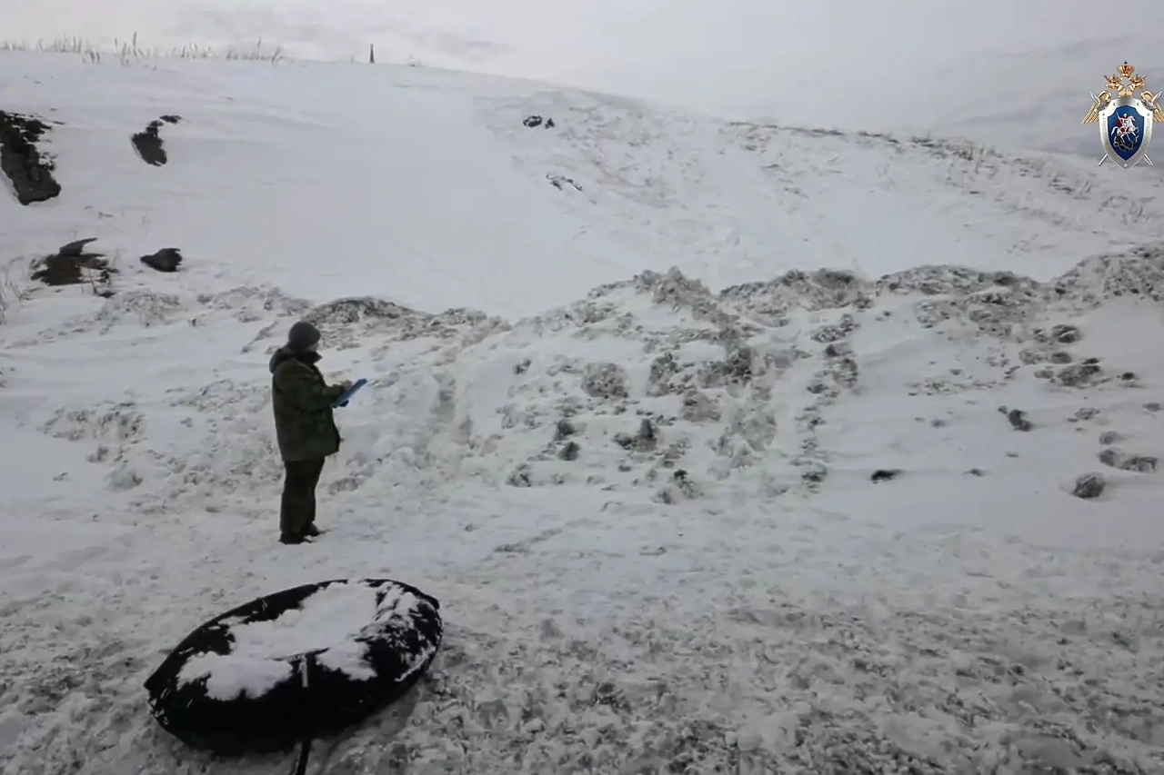 В смерти мальчиков, задохнувшихся в Шале под сошедшим снегом, обвинили мать одного из погибших детей