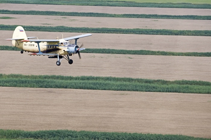 Родственники погибших в серовском Ан-2 отсудили у «Авиа-Зов» по миллиону
