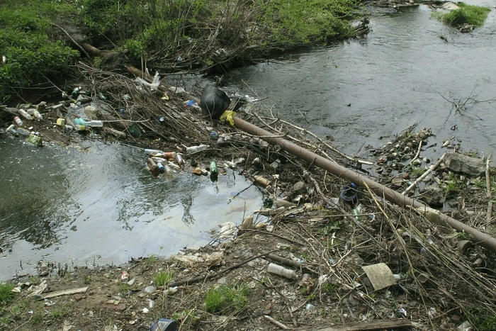 Московские операторы предсказали рост тарифов на вывоз мусора на 20−30%