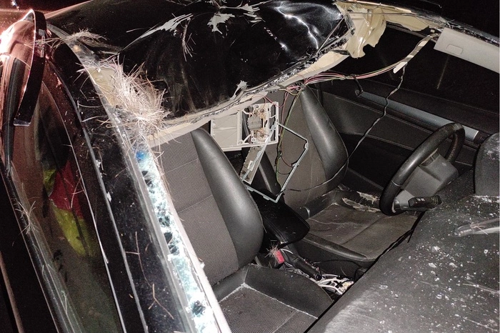 Под Екатеринбургом иномарка насмерть сбила лося