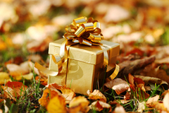 Чиновников обязали сдавать на оценку все полученные подарки