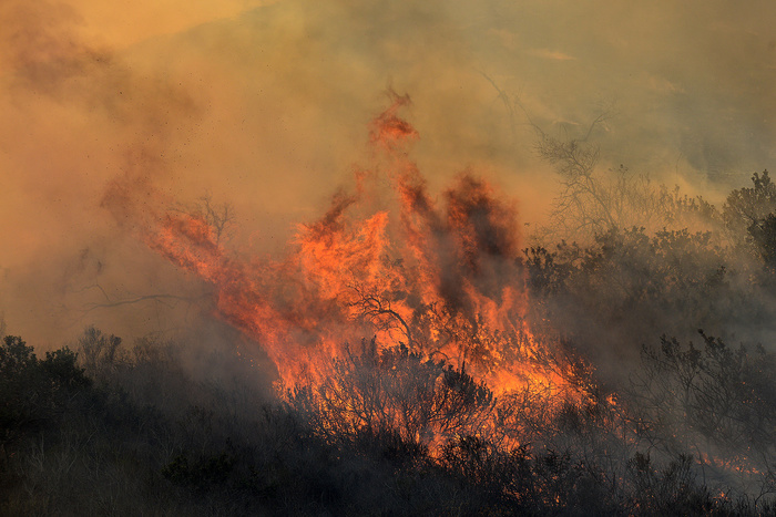 Жара, смог и лесные пожары: синоптики продлили предупреждение об аномальной жаре