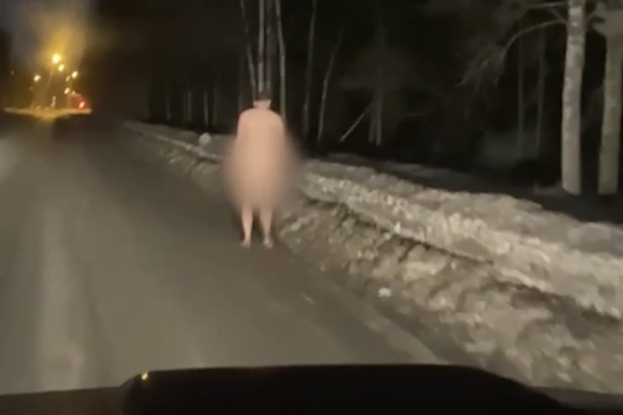 Абсолютно голого мужчину заметили идущем по дороге Екатеринбурга