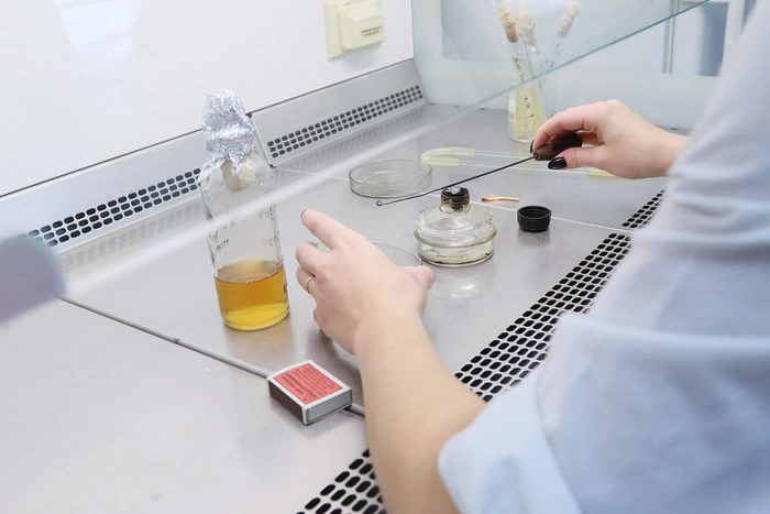 Уральские ученые создают безпохмельное пиво