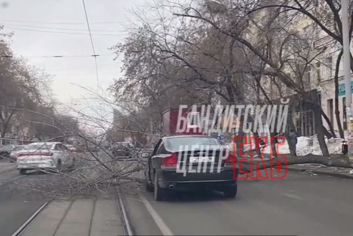 В Екатеринбурге движение трамваев парализовало упавшее на автомобиль дерево