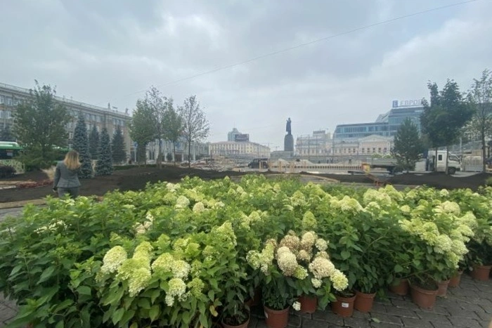 Площадь 1905 года закроют на месяц