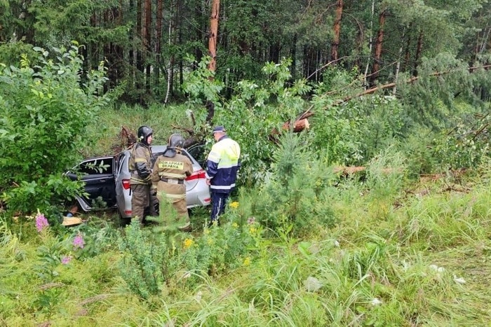 Два человека в Toyota Corolla погибли на Серовском тракте под Нижним Тагилом