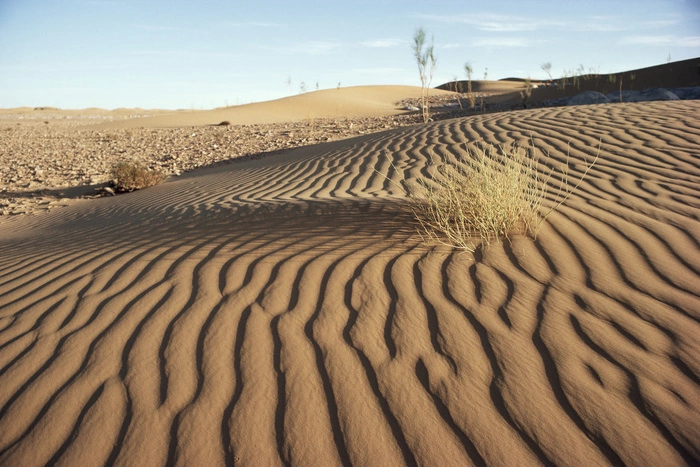 Мир через 15 лет: войны за воду и еду, ядерные атаки, бунт роботов