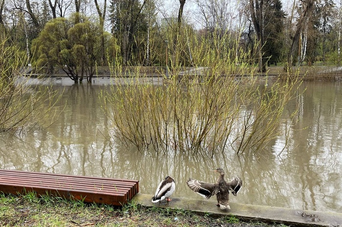 В Екатеринбурге набережная в центре ушла под воду