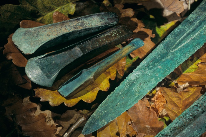 В Великобритании барсук помог найти артефакты бронзового века