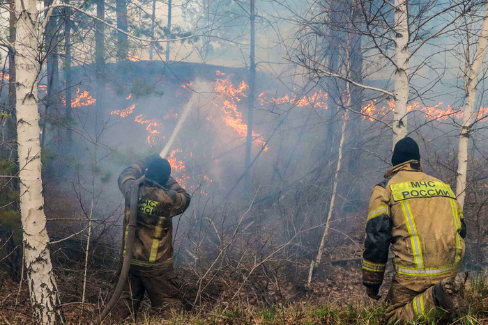 Шестнадцать человек погибли из-за природных пожаров на территории России