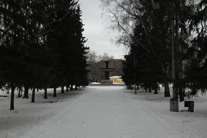 Дендропарк напротив «Гринвича» признали объектом культурного наследия