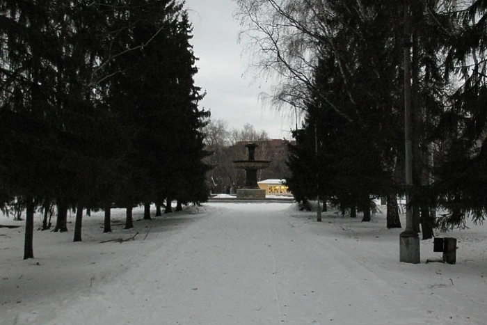 Дендропарк напротив «Гринвича» признали объектом культурного наследия