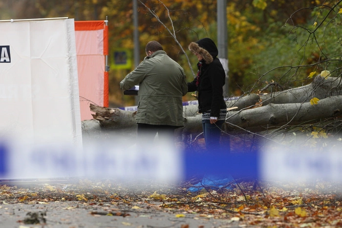 В Челябинске врачи спасают 6-летнего мальчика, придавленного упавшими ветками
