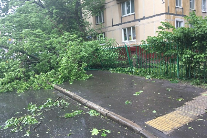 Спасатели предупредили о грозах и сильном ветре в Свердловской области