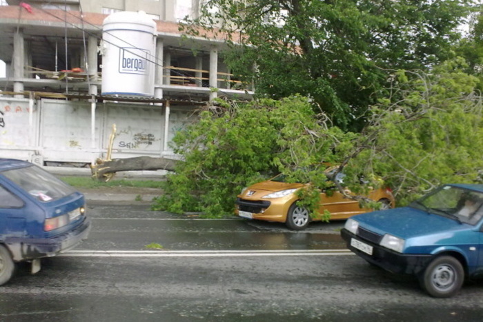 В МЧС предупредили об ураганном ветре в Екатеринбурге