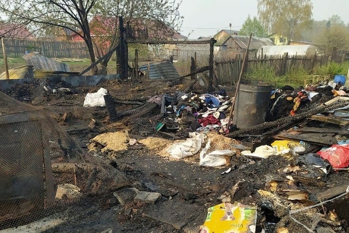 В Билимбае сожгли передержку с собаками-инвалидами. 30 животных погибли