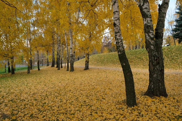 Горожане считают, что начинать отопительный сезон в сентябре еще рано