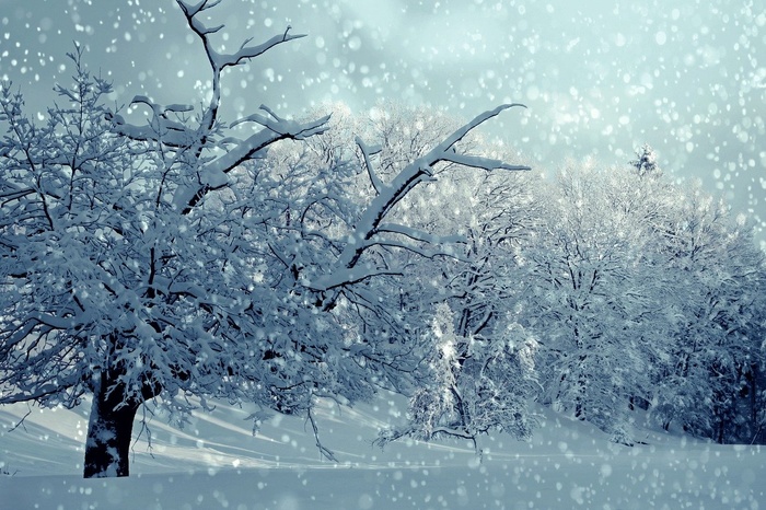 Снегопад в Екатеринбурге обещают на весь день
