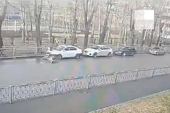 На Уралмаше дерево рухнуло на автомобиль