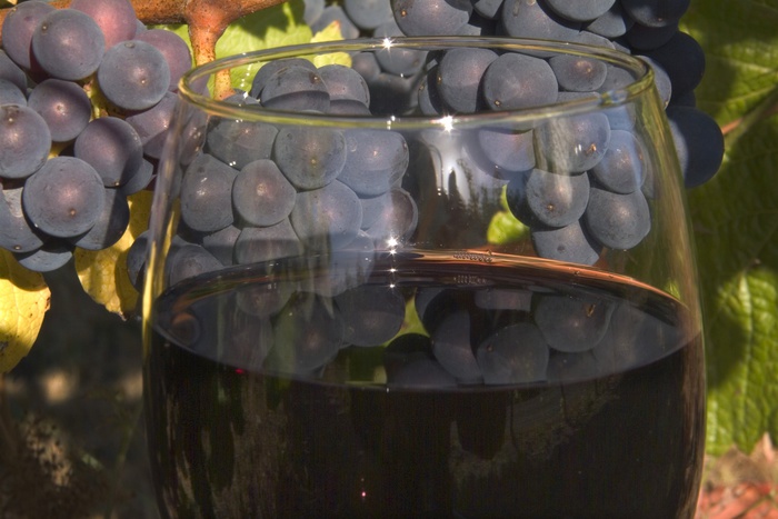 Французские виноделы хотят заниматься производством вина в Крыму