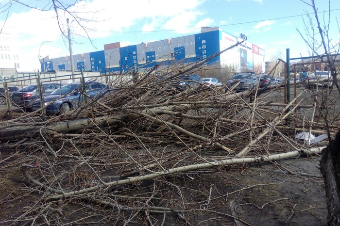 Ветер 35 м/с, повалены остановки и заборы: страшные последствия урагана на Урале