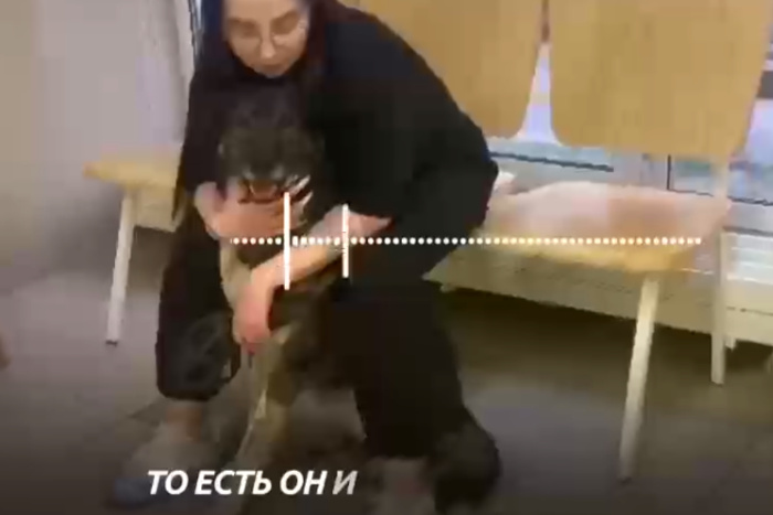 Ural Mash: Трэш-стример, бивший свою собаку на камеру, оказался наркоманом