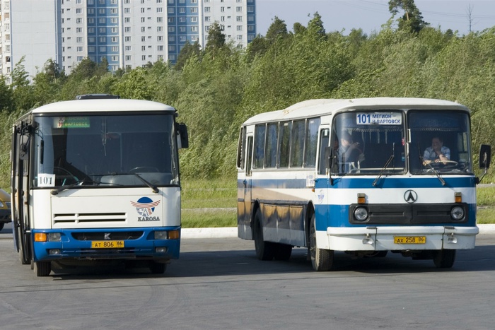 Власти Севастополя понизили цены на проезд в автобусах на время ЧС