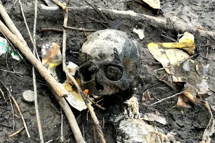 Человеческий череп найден в центре Екатеринбурга