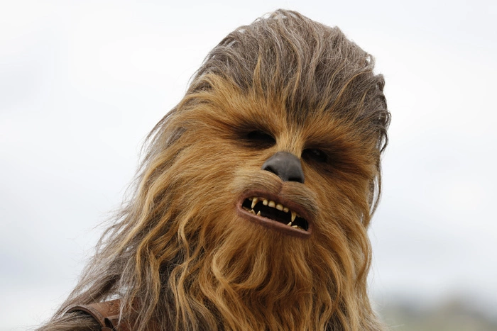 Российская чиновница уволилась после присяги мэра под марш из «Звездных войн»