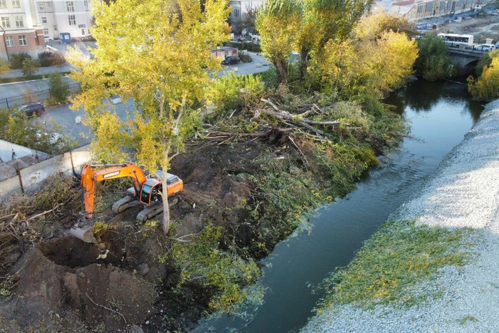 Екатеринбуржцы жалуются на массовую вырубку деревьев на набережной Исети