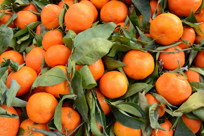 В России зафиксировали дефицит апельсинов