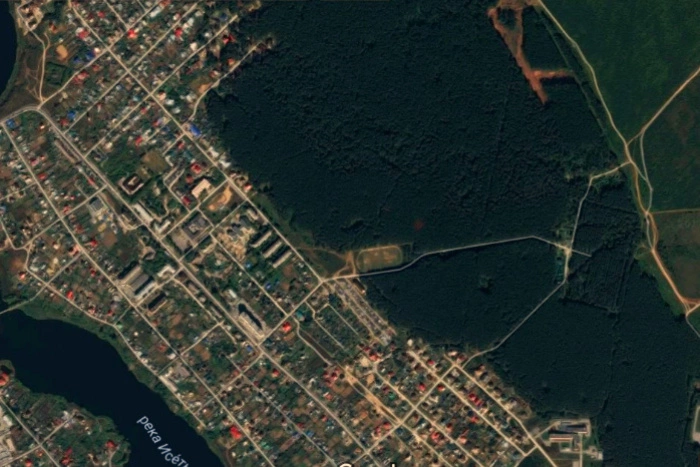 Под Арамилем идет массовая вырубка леса