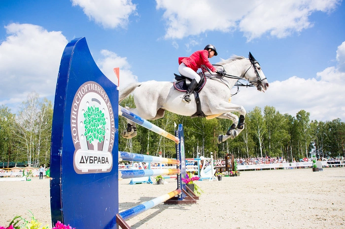 Международные соревнования по конкуру пройдут завтра в «Дубраве»