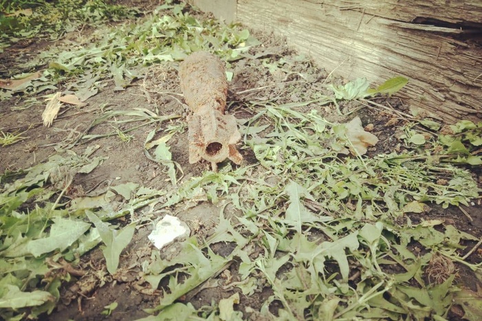 В Свердловской области местные жители нашли в саду своего дома мину