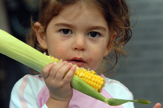 В России могут запретить торговлю продуктами с ГМО