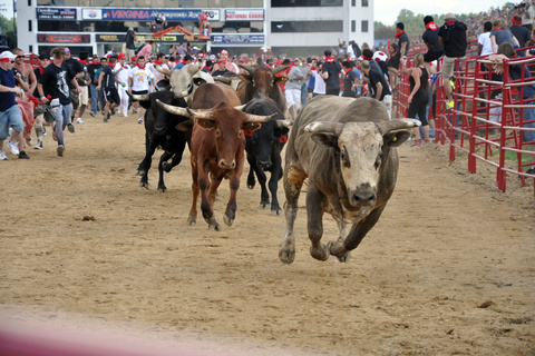 В Испании четыре человека пострадали во время забега быков