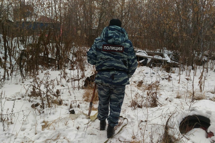 Вышла отнести молоко дедушке: на Урале нашли пропавшую 13-летнюю школьницу