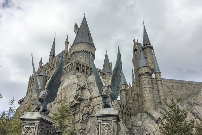 В Екатеринбурге при переводе школьников в «хогвартс» № 314 произошел сбой