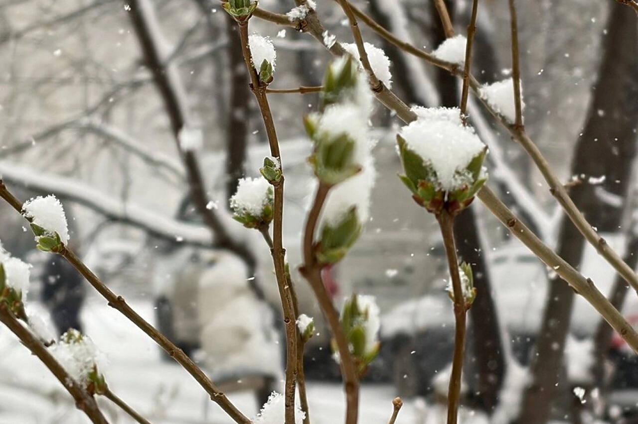 Новое похолодание ждет Свердловскую область в скором времени