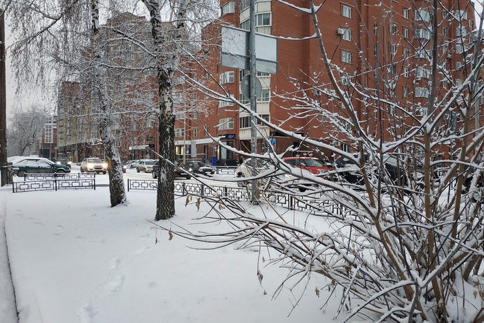 В Екатеринбурге в начале недели ожидается потепление
