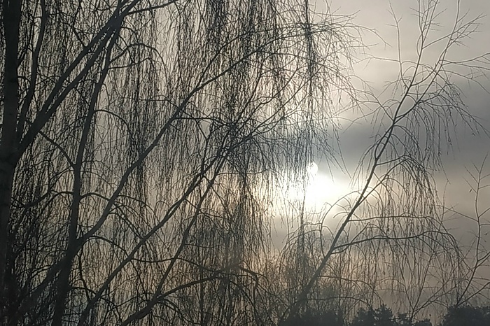 «Это затмение?» На небе вдруг исчезло солнце