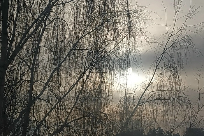 «Это затмение?» На небе вдруг исчезло солнце