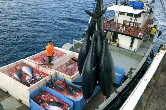 Россия введет санкции против японских рыбаков