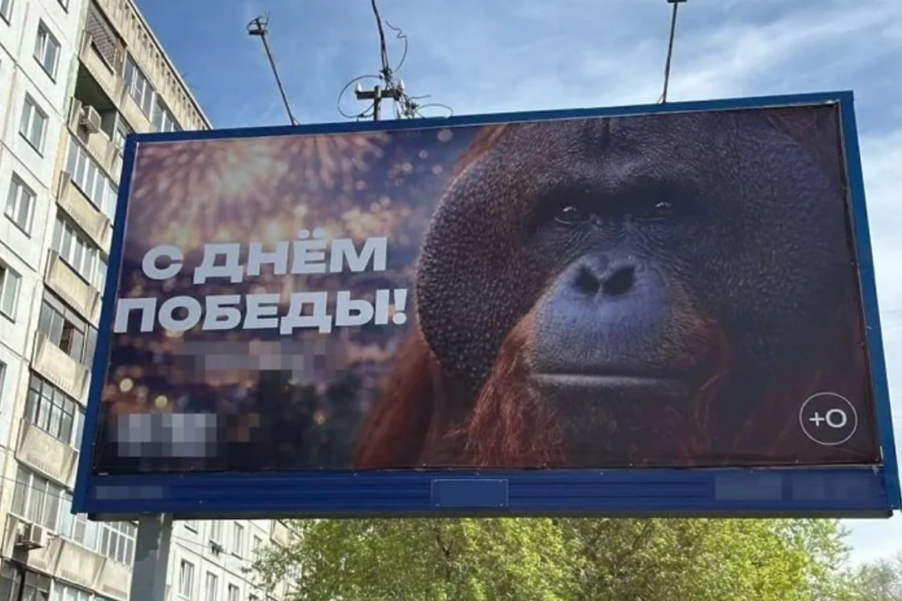 Зоопарк Новосибирска разместил на баннере ко Дню Победы местного орангутана