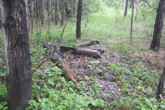 Ягодник нашел в лесу под Полевским авиационные бомбы