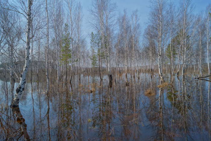 В МЧС сообщили, в каких районах Свердловской области ожидается половодье весной